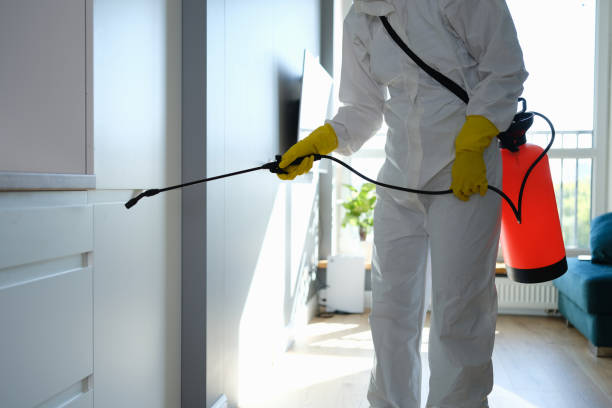 Best DIY Mold Remediation Support Services in Creighton, NE
