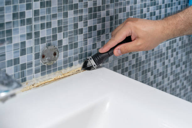 Best Black Mold Remediation in Creighton, NE